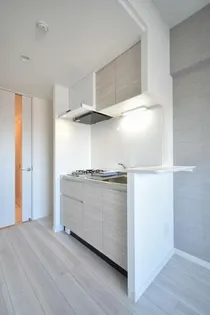 LANDIC K346【1103号室】の外観