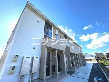 ローリエの画像