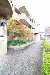 M'Sテラスの画像