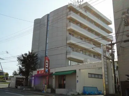 セラーン朝霧の画像