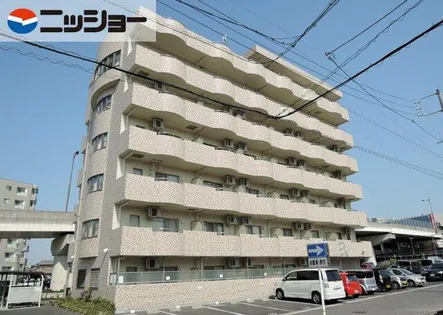 P MIIの画像