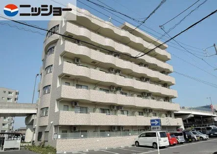 P MIIの画像