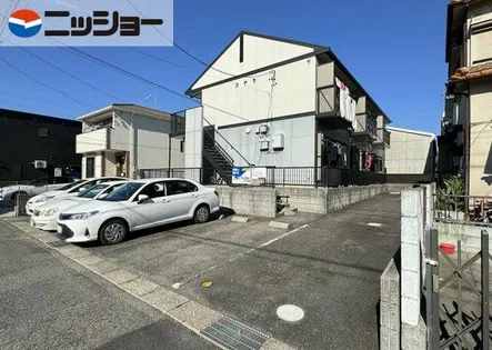ステラの画像