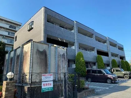 オアシスⅡの画像