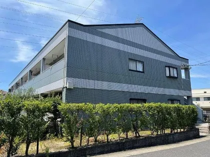 シャンパーニュの画像