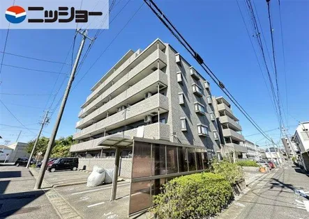 ノアコーワの画像