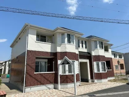 FINE HEIM 樹の画像