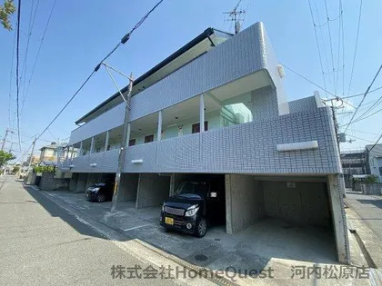 ペパーミントの画像