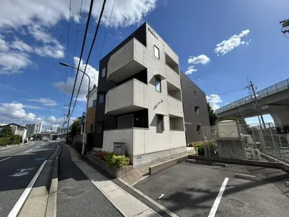 BLUE GRASSの画像