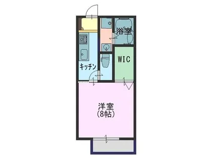 アイビー21 C【1階】の間取り