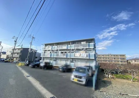 ヴィンテージ本多 IIIの画像