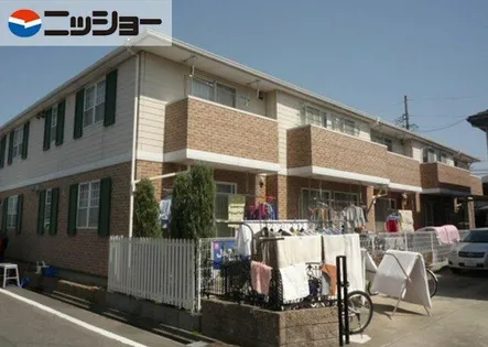 ベラ ディモーラ作野の画像