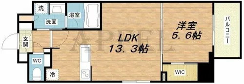 Dimus北浜【11階】の間取り