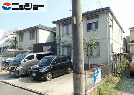 サナームM Yの画像