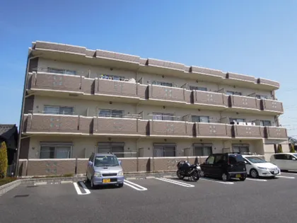 コーディアルさくらの画像