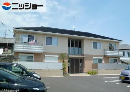 フローレス カモミールの画像