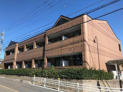 PINE FORESTの画像