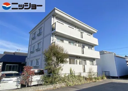 CONPIATTOの画像