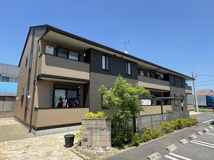 パーシモンの画像