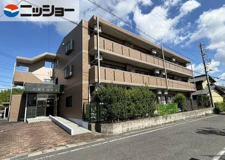 CELSUSの画像