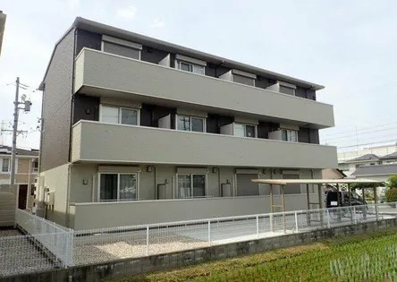 コルディエラの画像