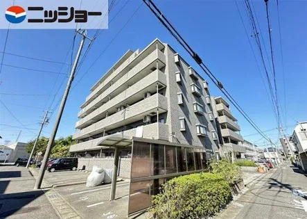 ノアコーワの画像