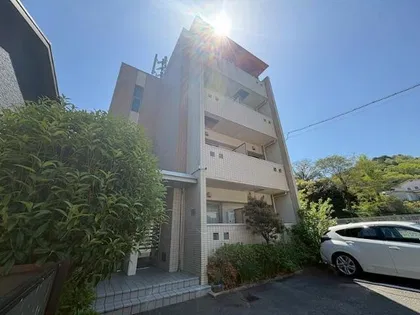 ヴィレイアの画像