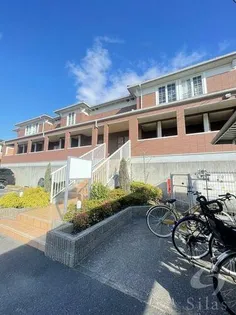 プリムローズT K Aの画像