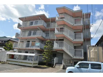 シャルマンふきの画像