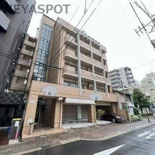 アミティヤスダの画像