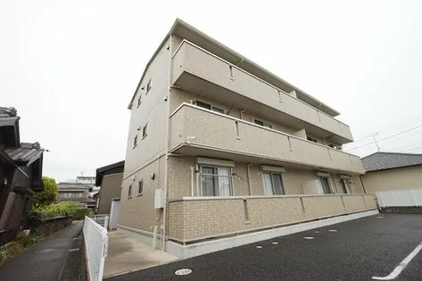 アムール中手の画像