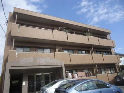 ダノイ美崇の画像