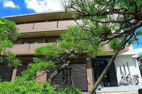 TMKミノリの画像