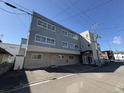 Sコートグレインの画像