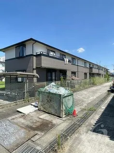 デイスターNの画像