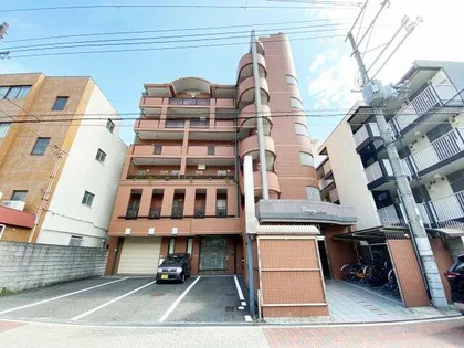 ペニーレーンの画像