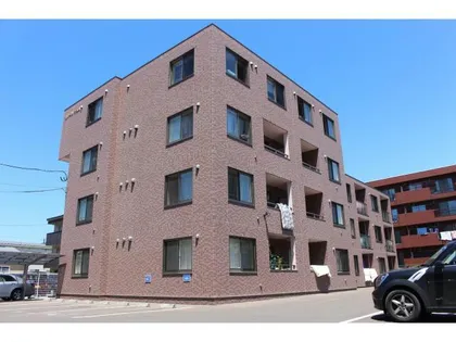 Y'Sカーネリアン富岡の画像