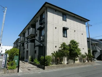 グレイス荒木の画像