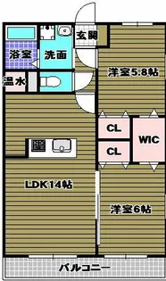 トゥールブランシュM&M【1階】の間取り