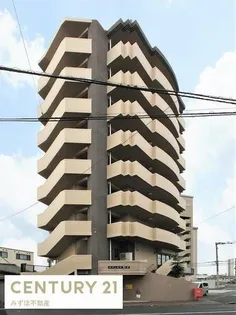 オリンピア竹下の画像