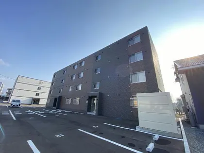 ステラ桔梗の画像