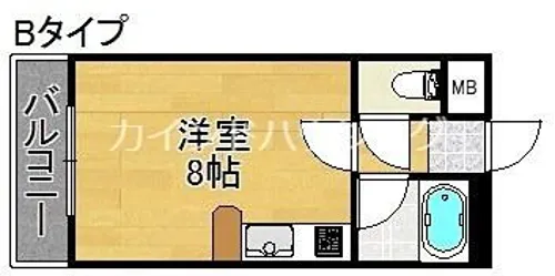 シャトレーヌ北島【1階】の間取り