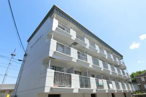 ドミールインター【303号室】の外観