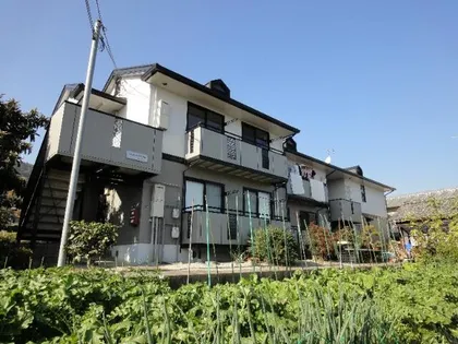 アラサンテコジマの画像