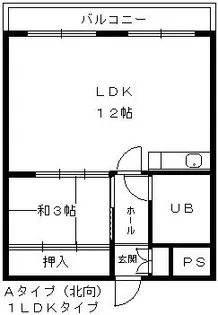 ヴィラ大成【307号室】の間取り