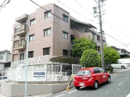 アイリス松井の画像