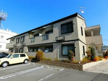 ワ オークの画像