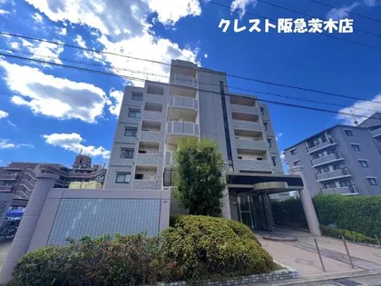 エクレールミシマの画像