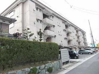 ニューパピリオン加藤の画像