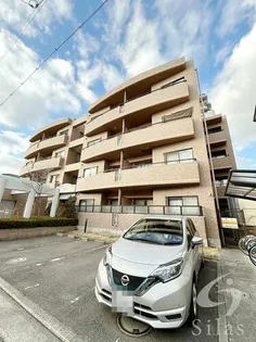 BELLE COLLINEの画像